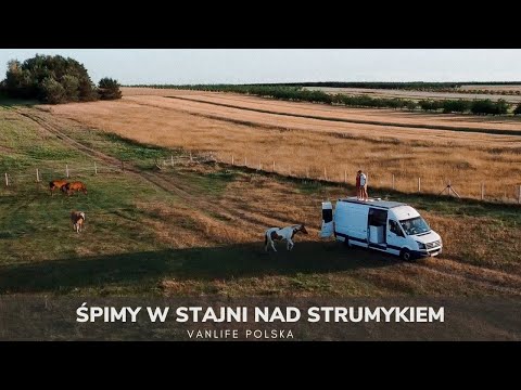 Overnight stay for the van in a stable by the stream and a sunset view of the horses - VANLIFE PO...