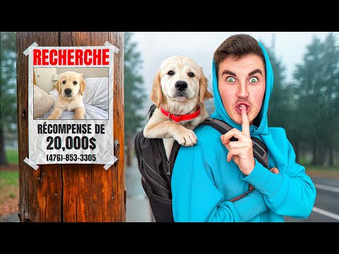 I STOLE the Ventura's DOG