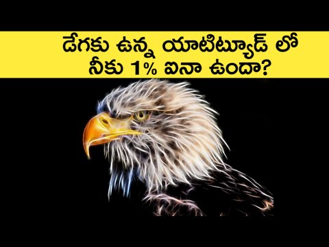 Life Lessons To Learn From Eagle In Telugu | Inspirational Video In Telugu | News6G