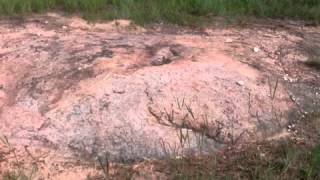 The statler brothers release me and let me love again