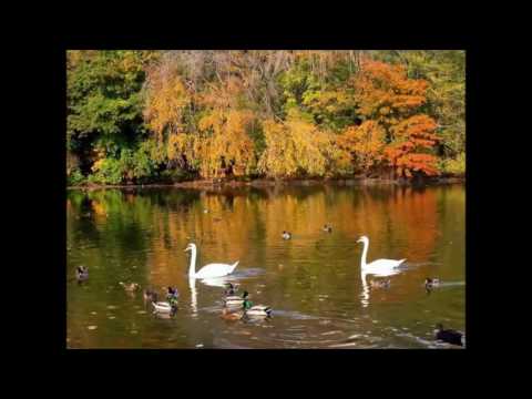 download lagu mp3 mp4 Vasantha Sameeram La, download lagu Vasantha Sameeram La gratis, unduh video klip Vasantha Sameeram La