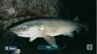 Let&#39;s Play Endless Ocean, Episode 10: The Abyss