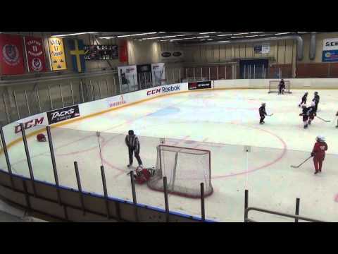 GötaTraneberg Team 07 Blå Hockeyskoj i Tumba 20150210