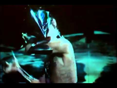 Flores Astrais video