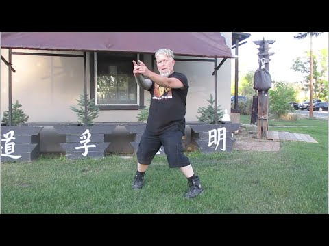 Wing Chun Mini Lesson 1