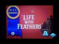 Life With Feathers 1945 Opening And Closing Boomerang Airing