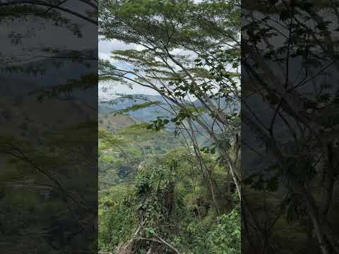 Vereda La Montaña La Palma Cundinamarca.