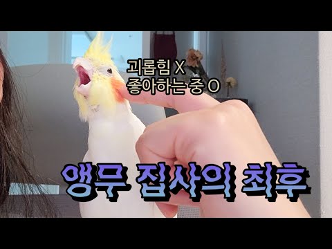 널 너무나 많이 사랑한 죄… (갑자기 끝남 주의) | 꿈