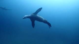 クラブキッズ(CLUB KID'S)