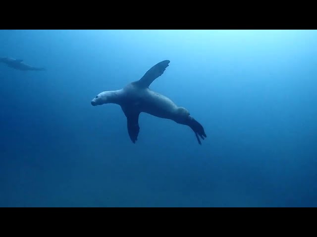 クラブキッズ(CLUB KID'S)