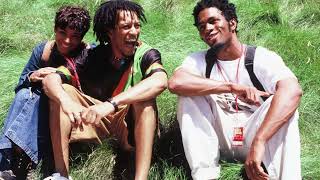 Digable Planets Examination of What Instrumental