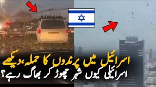 Why Birds Suddenly Reached Israel Today? Iran Israel Latest News Explained 