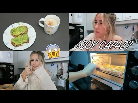 24 HORAS SIENDO VEGANA | ItsJudith