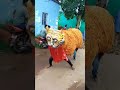 Bagha Nacha Video
