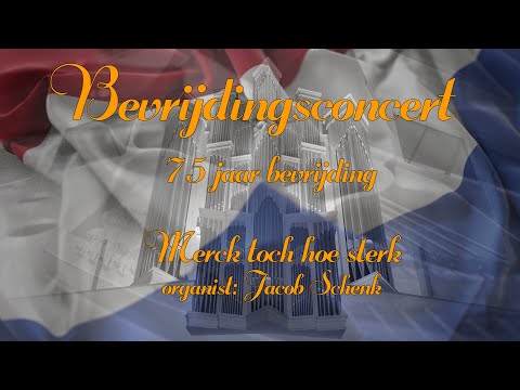 Jacob Schenk - Merck toch hoe sterck