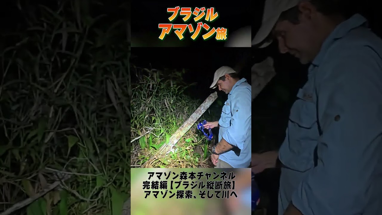 森本慎太郎【ブラジル縦断旅〜完結編】アマゾン探索、そして川へ〜その１