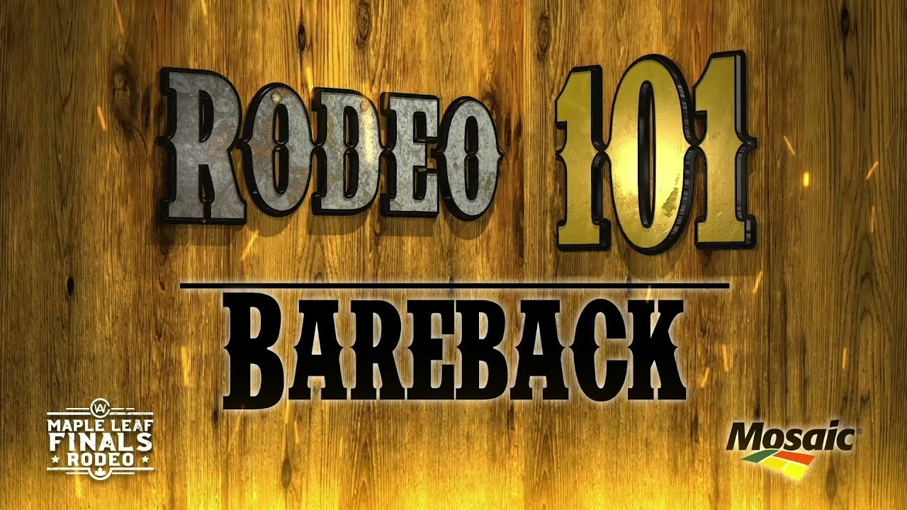 Rodeo 101 - Bareback