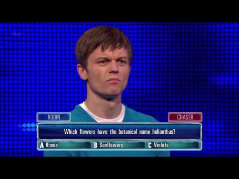 Robin Gets His Sunflowers Question Right - The Chase