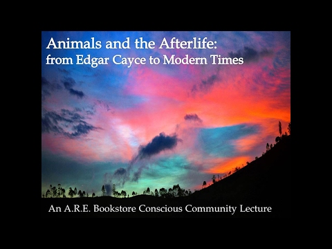 Animals and the Afterlife with Jennie Taylor Martin