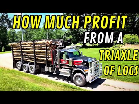 How Much Can You Make From A Triaxle Load Of Logs