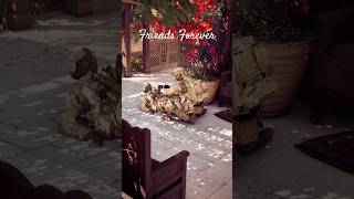 Tag your ride-or-die Support #Battlefield6