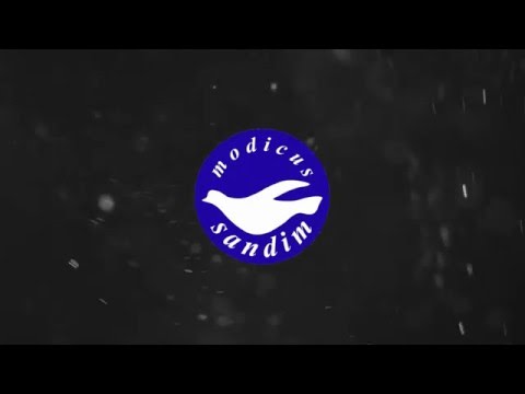 Modicus 7-5 SL Olivais - Jogo da 19.ª jornada da ‪Liga SportZone de Futsal‬