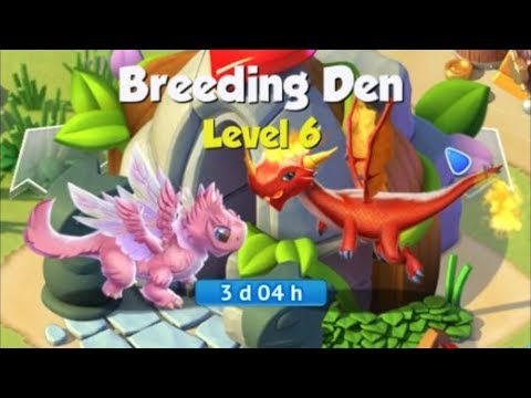 NEW UPDATE INFORMATION RELEASED?! DML Livestream Day 39 With Quacks (READ STREAM FAQ's)