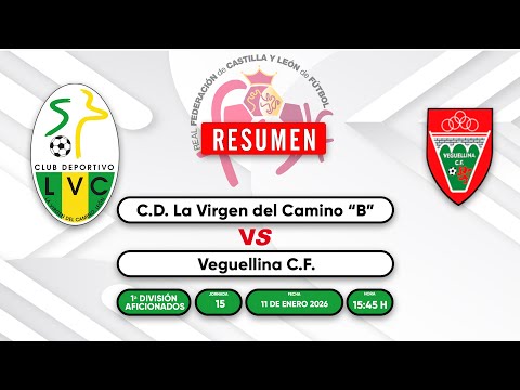 Resumen C.D. La Virgen del Camino "B" - Veguellina C.F.