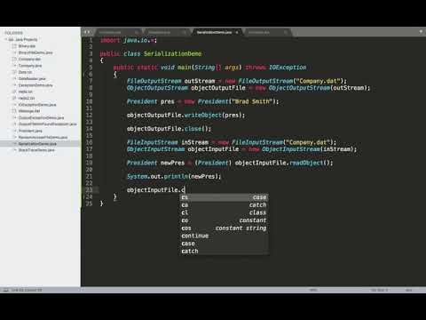Object Serialization