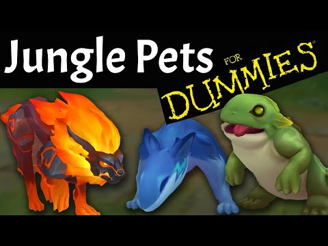 Jungle Pets Explained FOR DUMMIES!