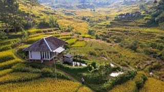 Download lagu Begini Rasanya Tinggal Di Desa Dengan Pemandangan Alam Indah Udara Sejuk Suasana Pedesaan Jawa Barat mp3