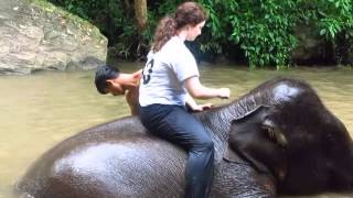 CHIANG MAI, THAILAND - PATARA ELEPHANT FARM - BATHING