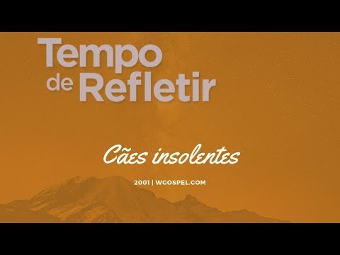 Tempo de Refletir 2001 - Cães insolentes
