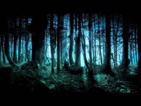 Opsy - Dig a hole [2008 version]