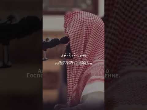 Шейх Мухаммад Аль Люхайдан очень красивое чтение Корана (508)