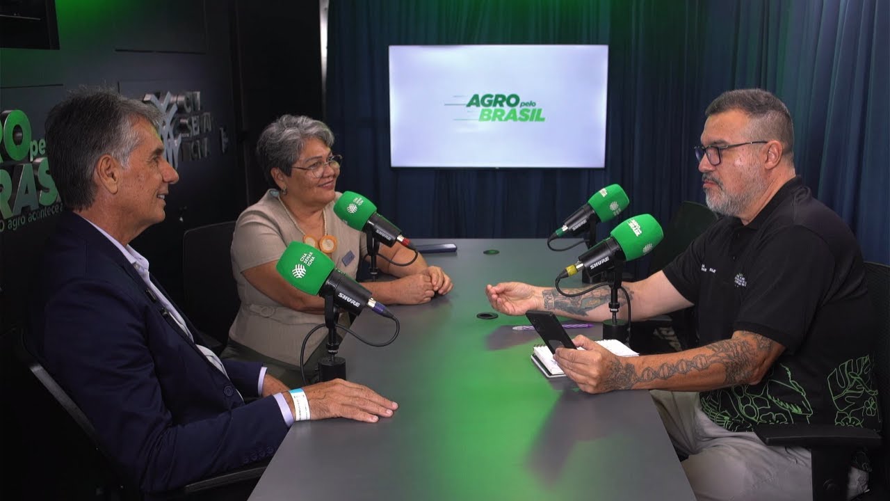 Bacuri e açaí: bioeconomia e manejo sustentável fortalecem a Amazônia