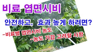 비료 엽면시비. 안전하고 효과 높게 하려면?(엽면시비 일반적인 농도, 비료별 엽면시비 농도, 엽면시비 흡수 …