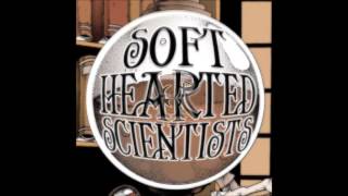 Night Of The Hunter, by Soft Hearted Scientists