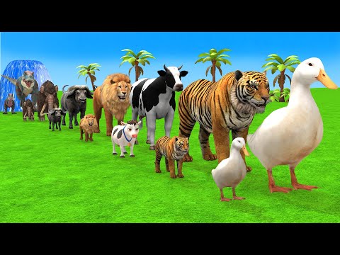 Long Slide Game With Cow Elephant Gorilla Hippopotamus Tiger - 3d Animal Game - Funny 3d Animals