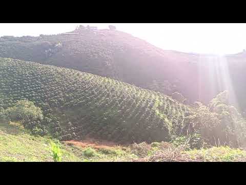 Un amanecer espectacular en PALOCABILDO 🤗#palocabildotolima #cafeteros #paisajes #turismo #destacar