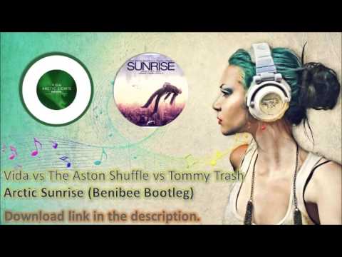 Vida vs The Aston Shuffle vs Tommy Trash - Arctic Sunrise (Benibee Bootleg)