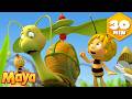 Shelby And Her Incredible Dream Of Flying ️ Maya The Bee Full Episodes Cartoons For Kids