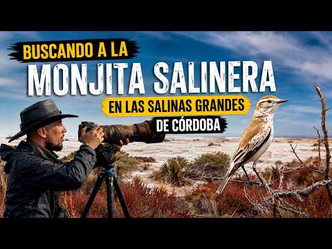 Buscando a la Monjita Salinera en Las Salinas Grandes de Córdoba