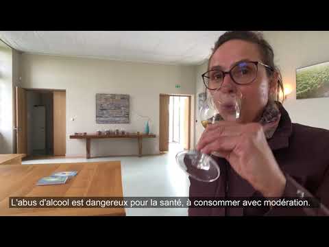 "Tous les chemins mènent à vous" à Pujols sur Ciron en Gironde