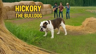 AI Music Video: Its Hard to be Hickory the Bulldog