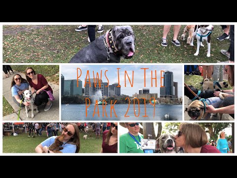 download lagu mp3 mp4 Paws In The Park, download lagu Paws In The Park gratis, unduh video klip Paws In The Park