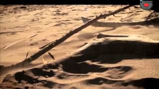 ESPERANZA SPALDING &quot;Vague Souspicions&quot; I Musiclip festival 2012