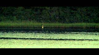 anytown graffiti (timelapse)