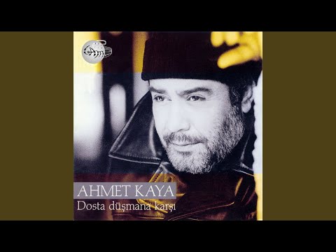 Müzik