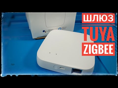 zigbee шлюз умного дома tuya. Умный дом своими руками